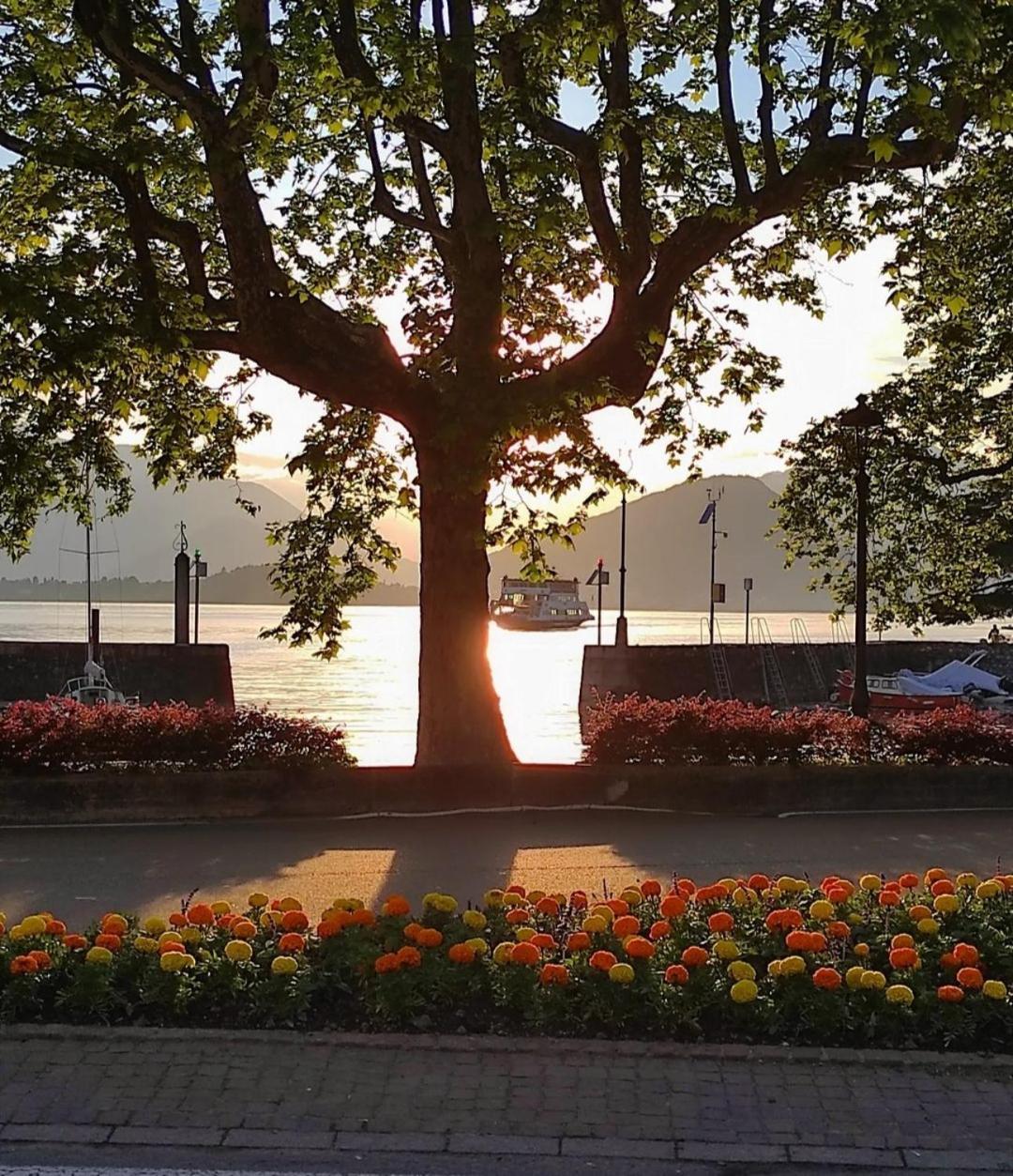 Lily Lake Maggiore ลาเวโน ภายนอก รูปภาพ